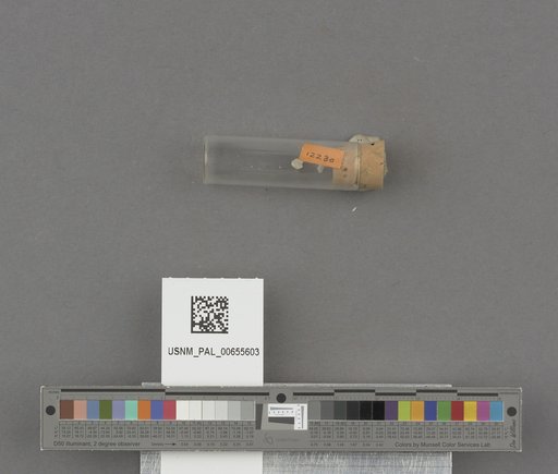 NSF ADBC EPICC TCN