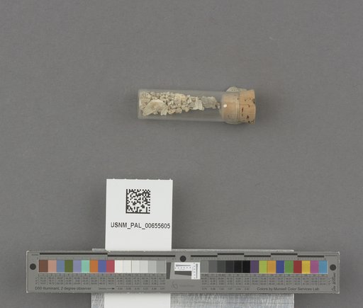 NSF ADBC EPICC TCN