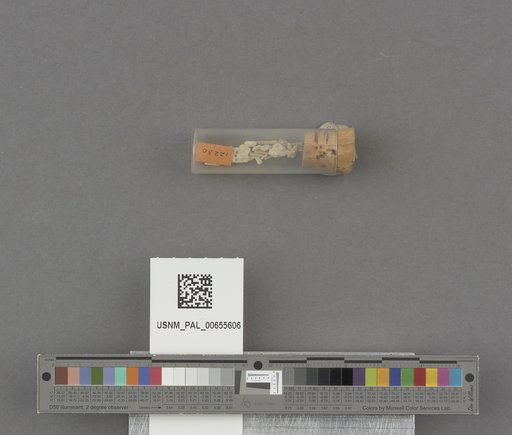 NSF ADBC EPICC TCN
