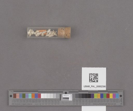 NSF ADBC EPICC TCN