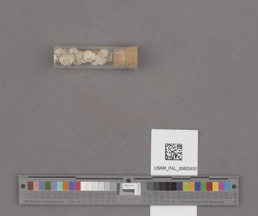 NSF ADBC EPICC TCN