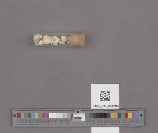NSF ADBC EPICC TCN