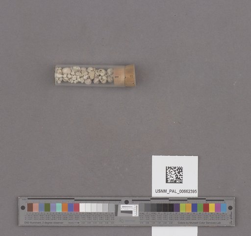 NSF ADBC EPICC TCN