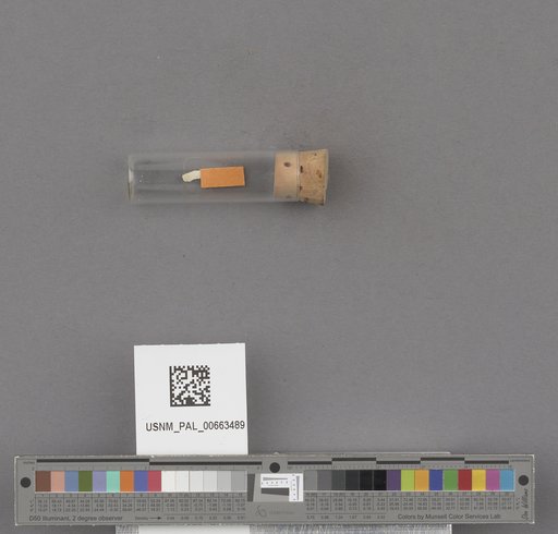 NSF ADBC EPICC TCN