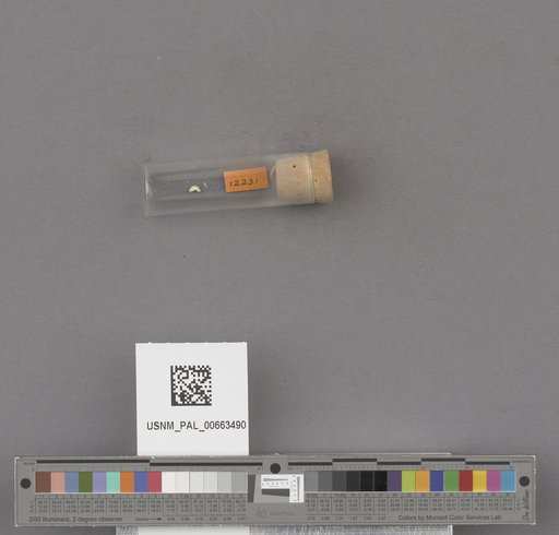 NSF ADBC EPICC TCN