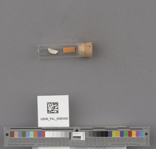 NSF ADBC EPICC TCN