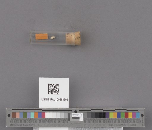 NSF ADBC EPICC TCN