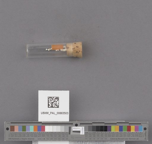 NSF ADBC EPICC TCN