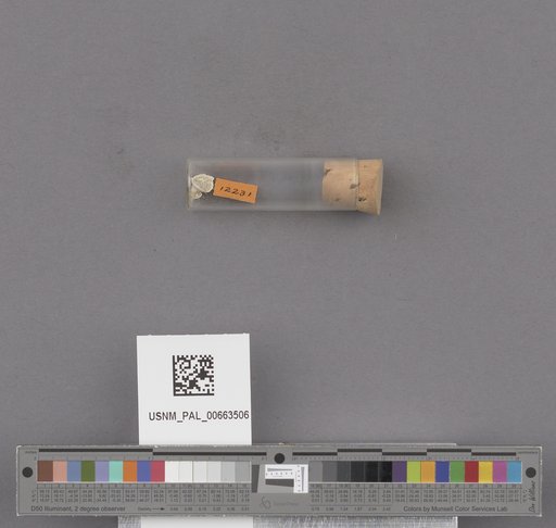 NSF ADBC EPICC TCN
