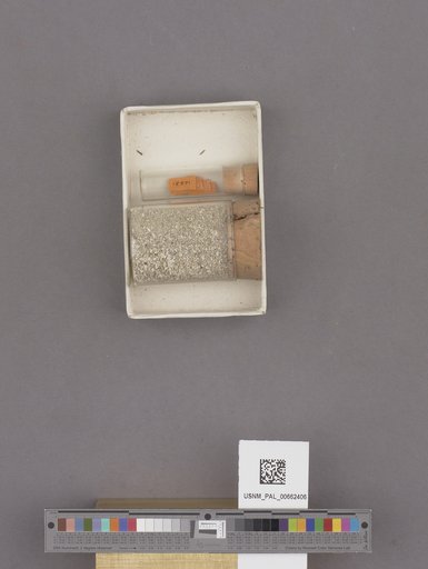 NSF ADBC EPICC TCN