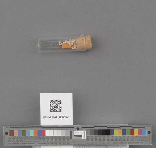 NSF ADBC EPICC TCN