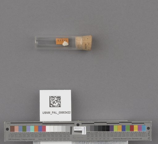 NSF ADBC EPICC TCN