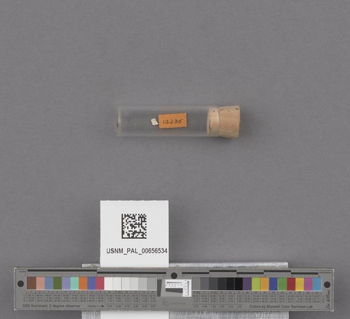 NSF ADBC EPICC TCN