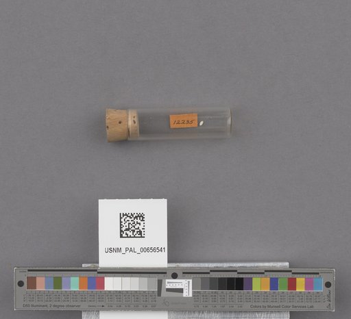 NSF ADBC EPICC TCN