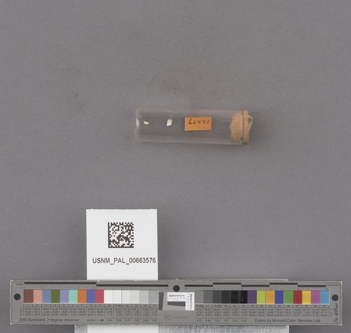 NSF ADBC EPICC TCN