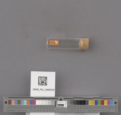 NSF ADBC EPICC TCN