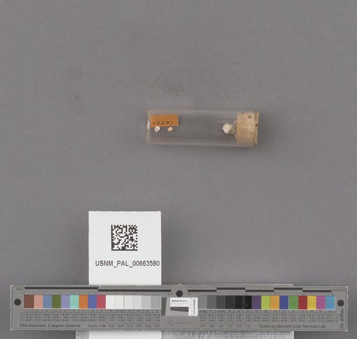 NSF ADBC EPICC TCN