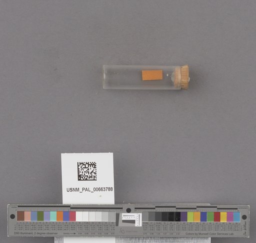 NSF ADBC EPICC TCN