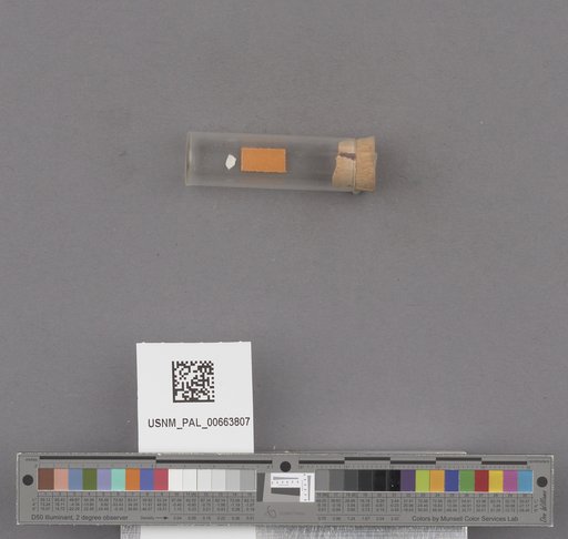 NSF ADBC EPICC TCN