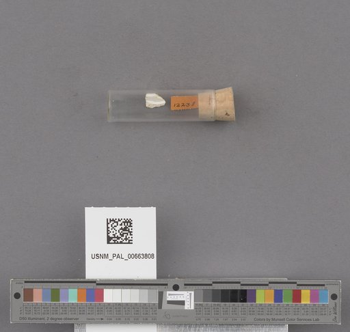 NSF ADBC EPICC TCN