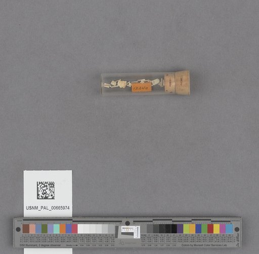 NSF ADBC EPICC TCN