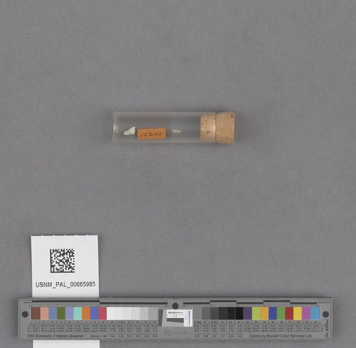 NSF ADBC EPICC TCN