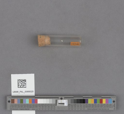 NSF ADBC EPICC TCN