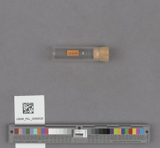 NSF ADBC EPICC TCN