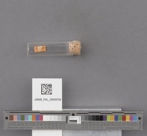 NSF ADBC EPICC TCN