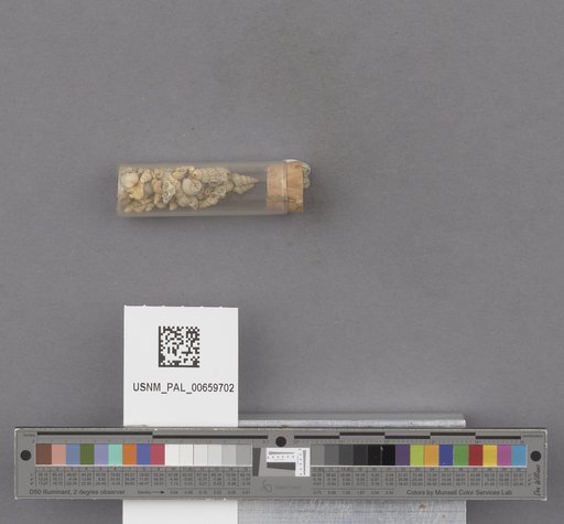 NSF ADBC EPICC TCN