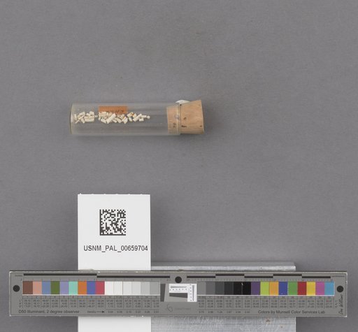 NSF ADBC EPICC TCN