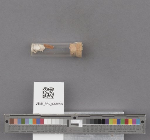 NSF ADBC EPICC TCN