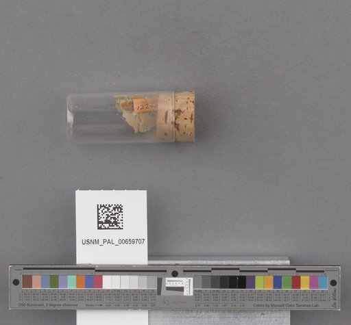 NSF ADBC EPICC TCN