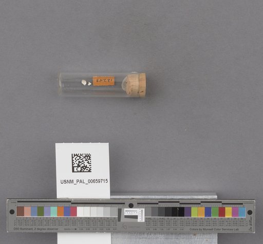 NSF ADBC EPICC TCN