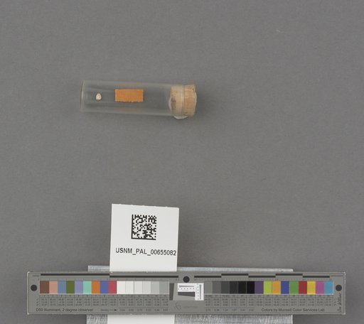 NSF ADBC EPICC TCN