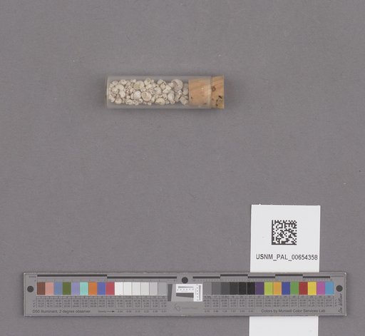 NSF ADBC EPICC TCN
