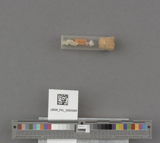 NSF ADBC EPICC TCN