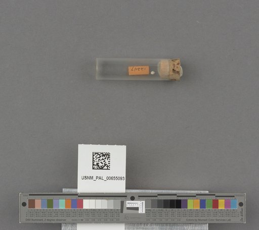 NSF ADBC EPICC TCN