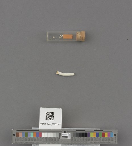 NSF ADBC EPICC TCN