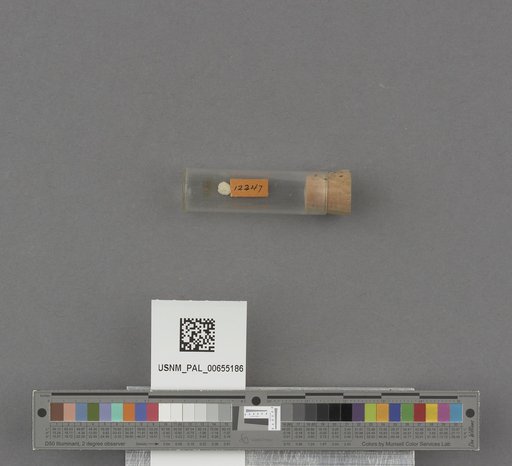 NSF ADBC EPICC TCN