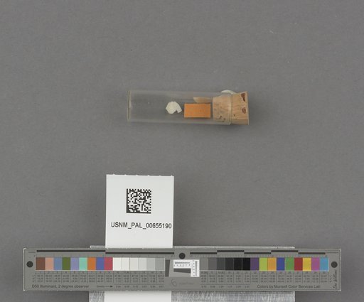 NSF ADBC EPICC TCN