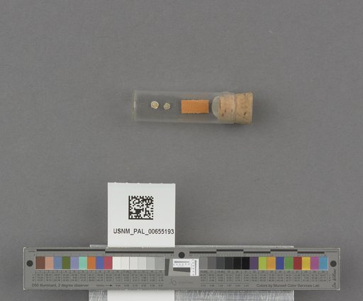 NSF ADBC EPICC TCN