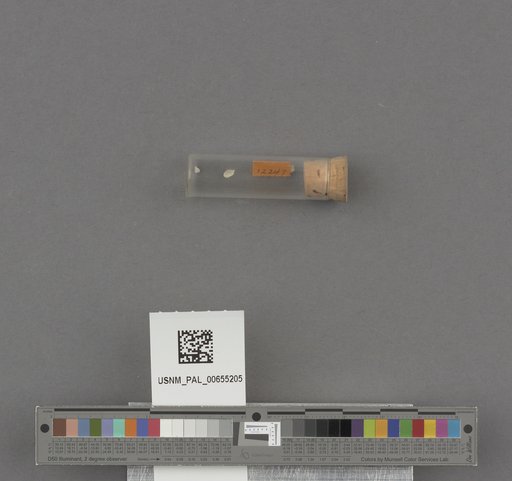 NSF ADBC EPICC TCN