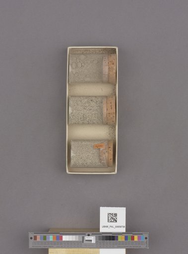 NSF ADBC EPICC TCN