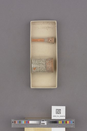 NSF ADBC EPICC TCN