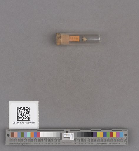 NSF ADBC EPICC TCN