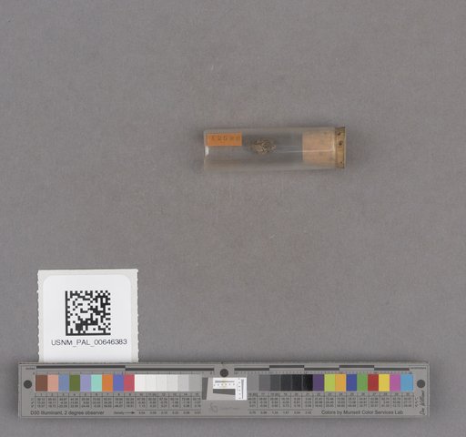 NSF ADBC EPICC TCN