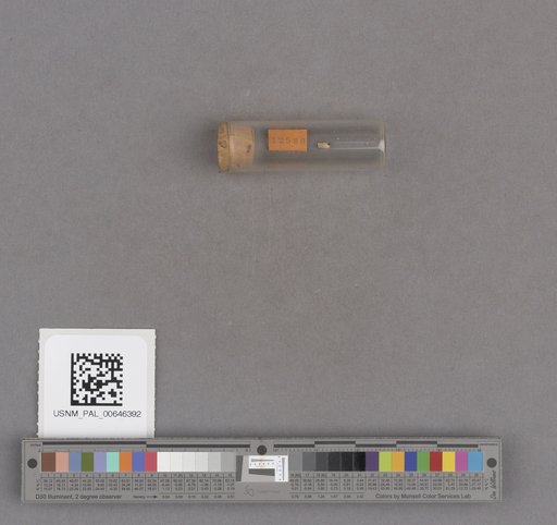 NSF ADBC EPICC TCN