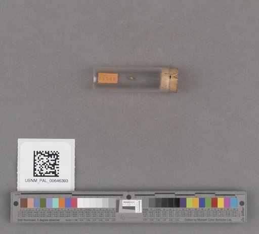 NSF ADBC EPICC TCN