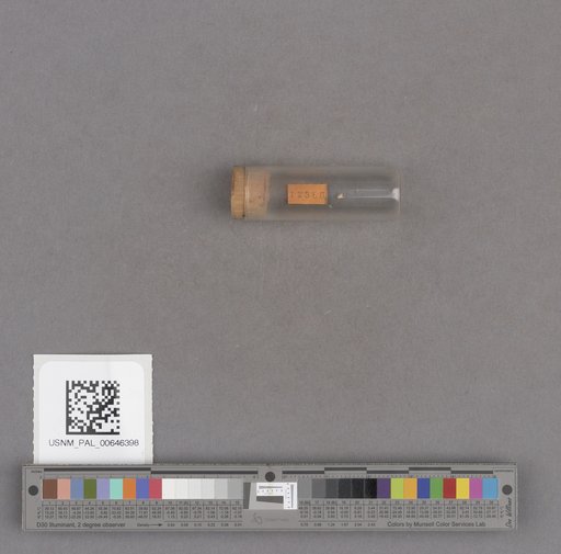 NSF ADBC EPICC TCN